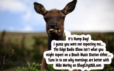 Hump Day!