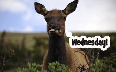Do you know what day it is?