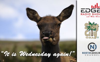 Wednesday Radio Show