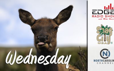 Wednesday Again
